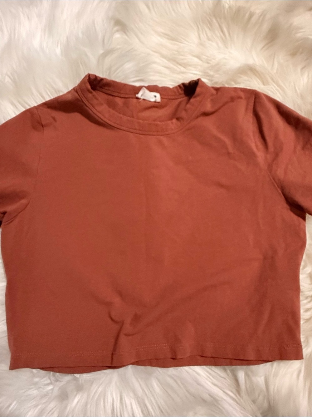 Cotton On Women's Cropped Crewneck Top - Rust